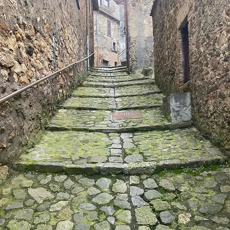 La Casa Dei Fiori * Tolfa