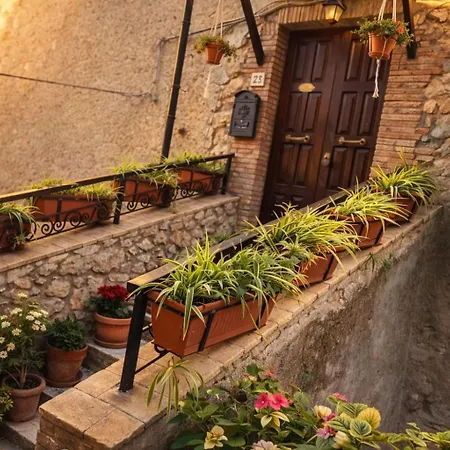 La Casa Dei Fiori * 托尔法