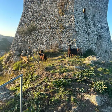 La Casa Dei Fiori Tolfa