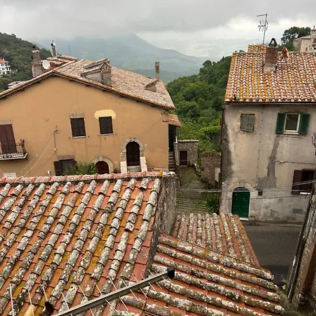 公寓 La Casa Dei Fiori 托尔法